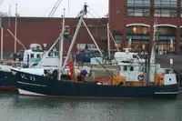 Trawler สำหรับขาย