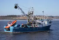 Purse seiner สำหรับขาย