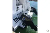 เรือสองลำ (Catamaran) สำหรับขาย