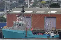 Trawler สำหรับขาย