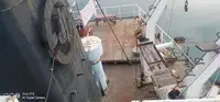 เรือบรรทุกสินค้าทั่วไป (Bulk Carrier) สำหรับขาย