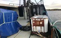 เรือลากอวน สำหรับขาย