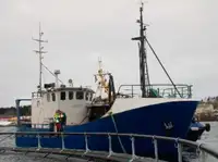 Trawler สำหรับขาย