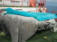 เรือลาก สำหรับขาย