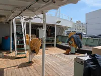 เรือลากอวนแบบ Longliner สำหรับขาย