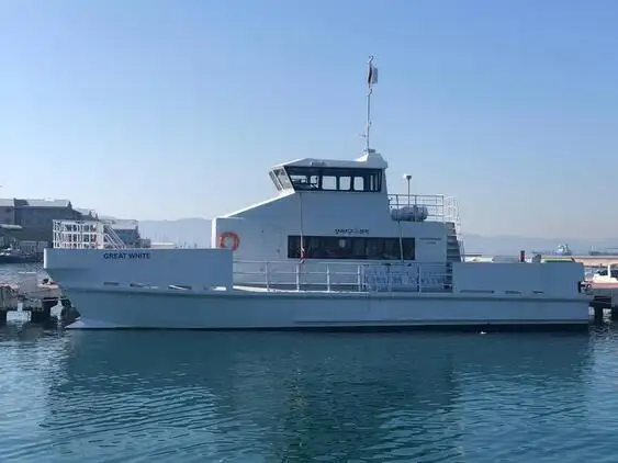 เรือสองลำ (Catamaran) สำหรับขาย