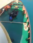 เรือลาก สำหรับขาย