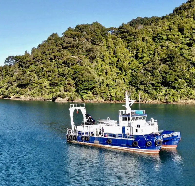 เรือสองลำ (Catamaran) สำหรับขาย