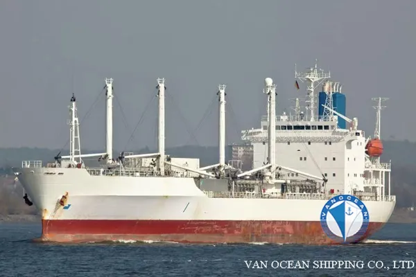 Reefer ship for sale