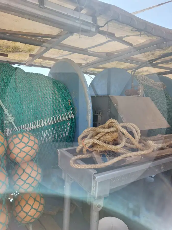 เรือบรรทุกปลาเป็น สำหรับขาย