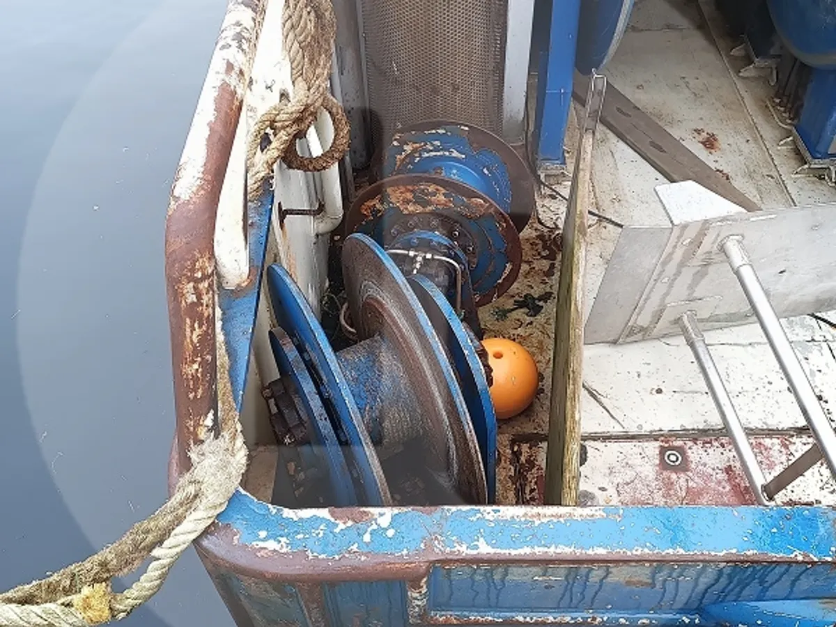 เรือบรรทุกปลาเป็น สำหรับขาย