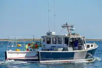 Purse seiner สำหรับขาย