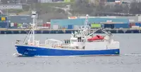 Purse seiner สำหรับขาย