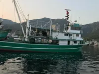 เรือลากอวนจับปลา สำหรับขาย
