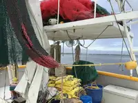เรือลากอวน สำหรับขาย
