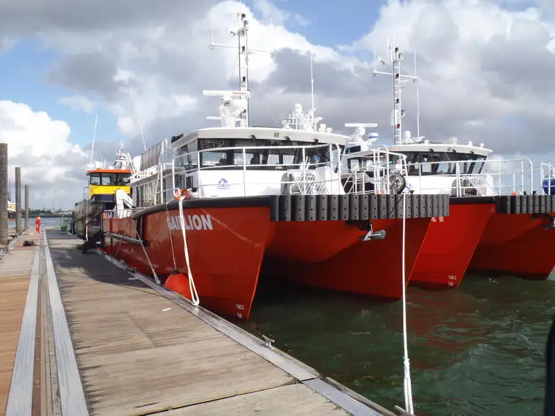 เรือสองลำ (Catamaran) สำหรับขาย