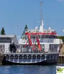 เรือสำรวจ สำหรับขาย