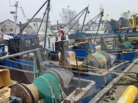 เรือบรรทุกปลาเป็น สำหรับขาย