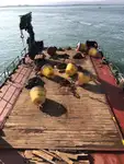 เรือขุด สำหรับขาย