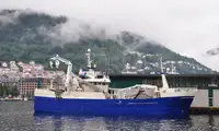 Purse seiner สำหรับขาย