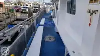 เรือสองลำ (Catamaran) สำหรับขาย