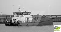 เรือบริการสำหรับฟาร์มกังหันลม สำหรับขาย
