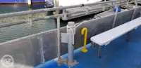 เรือสองลำ (Catamaran) สำหรับขาย