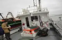 เรือนำร่อง สำหรับขาย