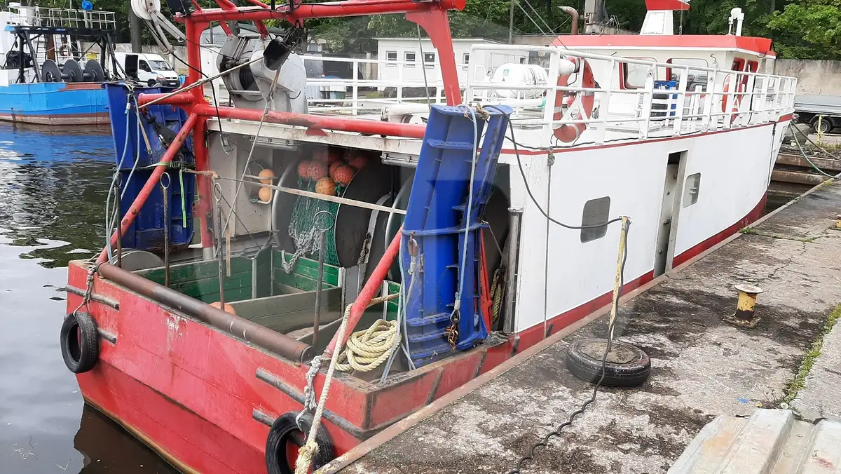 เรือบรรทุกปลาเป็น สำหรับขาย