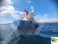 เรือบรรทุกสินค้าทั่วไป (Bulk Carrier) สำหรับขาย