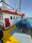 เรือบรรทุกตู้คอนเทนเนอร์ สำหรับขาย