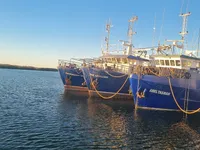 เรือลากอวน สำหรับขาย