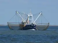 Trawler สำหรับขาย