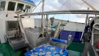 เรือลากอวนแบบ Beam Trawler สำหรับขาย