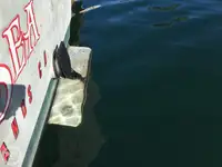 เรือลากอวน สำหรับขาย