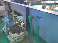 เรือบรรทุกตู้คอนเทนเนอร์ สำหรับขาย