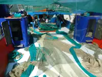 Trawler สำหรับขาย