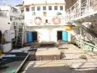 เรือลากอวนแบบ Longliner สำหรับขาย