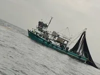 เรือลากอวนจับปลา สำหรับขาย