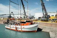 Trawler สำหรับขาย