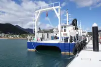 เรือสำราญ สำหรับขาย