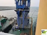 เรือขุด สำหรับขาย