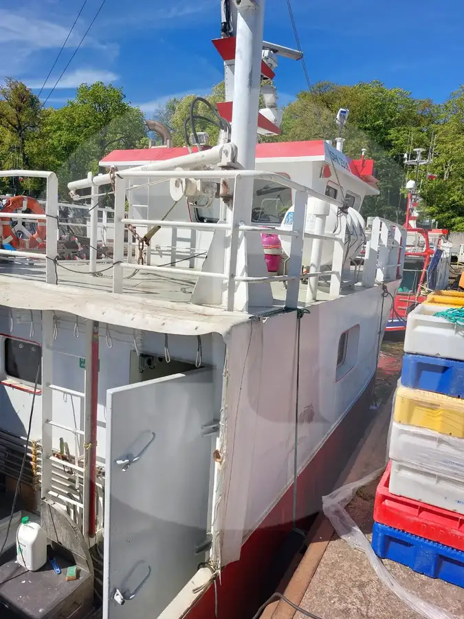เรือบรรทุกปลาเป็น สำหรับขาย
