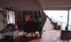 เรือขนส่งสัมภาระขึ้นฝั่งแบบมีถัง สำหรับขาย