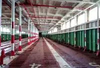 เรือบรรทุกสินค้าแบบ Ro-Ro สำหรับขาย
