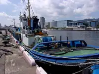 เรือลากจูง สำหรับขาย