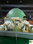 เรือบรรทุกสินค้าแบบ Ro-Ro สำหรับขาย