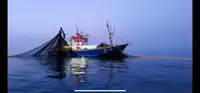 Trawler สำหรับขาย