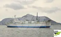 Ro-Ro ship สำหรับขาย