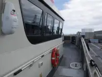 เรือสองลำ (Catamaran) สำหรับขาย